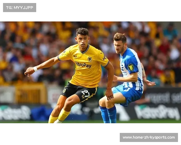 狼队关注葡萄牙体育中场守田英正 球员拒绝土超转会邀请